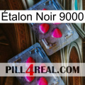 Étalon Noir 9000 14